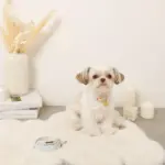 ギンガムチェックいちごフラワーチャームカラー+リードSET【名入れ彫刻対応】 - Image 5