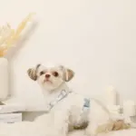 ギンガムチェックいちごハーネス - Image 9