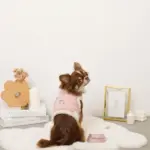 キルティングボアレースハーネス+リードSET【名入れ刺繍対応】 - Image 3