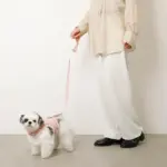 キルティングボアレースハーネス+リードSET【名入れ刺繍対応】 - Image 5