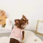 キルティングボアレースハーネス+リードSET【名入れ刺繍対応】 - Image 6