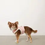 キルティングボアレースハーネス+リードSET【名入れ刺繍対応】 - Image 9