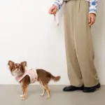 キルティングボアレースハーネス+リードSET【名入れ刺繍対応】 - Image 10