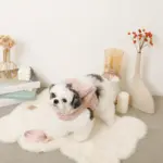 ビッグリボンファーハーネス+リードSET【名入れ刺繍対応】 - Image 6