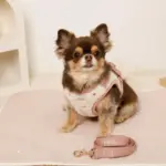 ボアハート刺繍ハーネス＋リードSET【名入れ刺繍対応】 - Image 10