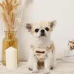 くまさん刺繍ボアハーネス+リードSET【名入れ刺繍対応】 - Image 5