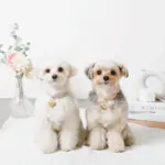 ハートチャームレザーカラー【名入れ彫刻対応】 - Image 8