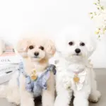 ハートチャームレザーカラー【名入れ彫刻対応】 - Image 9