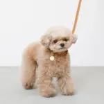 サークルチャームレザーカラー【名入れ彫刻対応】 - Image 10