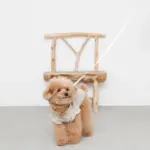 ウォーキングロングリード 5m - Image 5