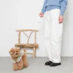 ウォーキングロングリード 5m - Image 6