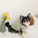 ミックスカラー反射ハーネス - Image 5