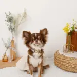 ミックスカラー反射カラー【名入れ彫刻対応】 - Image 2