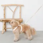 コットンライクハーネス - Image 10