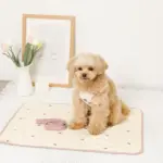 冷感いちご柄ハーネス+リードSET【名入れ刺繍対応】 - Image 7