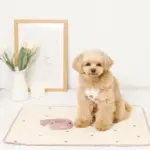 冷感いちご柄ハーネス+リードSET【名入れ刺繍対応】 - Image 8