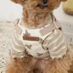 くまさんハーネス - Image 7