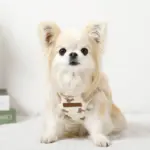 くまさんハーネス - Image 9