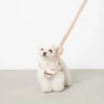 くまさんハーネス - Image 10