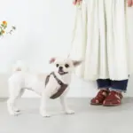 レザー×リネンハーネス - Image 4