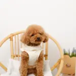 ショルダーフリルハーネス＋リードSET【名入れ刺繍対応】 - Image 7