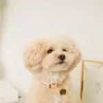 フラワーチャーム刺繍カラー+リードSET【名入れ彫刻対応】 - Image 9