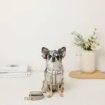 メッシュコンビ反射テープハーネス+リードSET【名入れ刺繍対応】 - Image 4