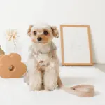 冷感フラワー刺繍ハーネス+リードSET【名入れ刺繍対応】 - Image 2