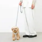 冷感アイスクリーム柄ハーネス+リードSET【名入れ刺繍対応】 - Image 10