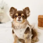 冷感マリン柄刺繍ハーネス+リードSET【名入れ刺繍対応】 - Image 10