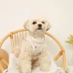 リンゴ柄刺繍ハーネス+リードSET【名入れ刺繍対応】 - Image 2