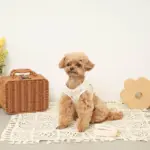 リンゴ柄刺繍ハーネス+リードSET【名入れ刺繍対応】 - Image 5