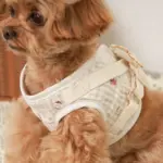 リンゴ柄刺繍ハーネス+リードSET【名入れ刺繍対応】 - Image 7