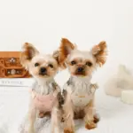 さくらんぼ刺繍ハーネス+リードSET【名入れ刺繍対応】 - Image 8