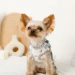 恐竜柄刺繍ハーネス+リードSET【名入れ刺繍対応】 - Image 5