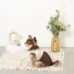 レモン柄刺繍ハーネス+リードSET【名入れ刺繍対応】 - Image 10