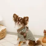 ソフトメッシュハーネス - Image 2