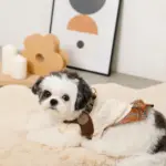 ソフトメッシュハーネス - Image 5