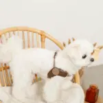 ソフトメッシュハーネス - Image 9