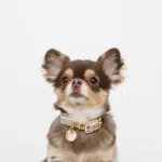 バイカラーサークルチャームレザーカラー【名入れ彫刻対応】 - Image 6