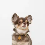 バイカラーサークルチャームレザーカラー【名入れ彫刻対応】 - Image 7