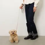 ソフトラバーハーネス+リードSET - Image 3