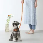 オーストレザーリボンペンダントカラー【名入れ彫刻対応】 - Image 6