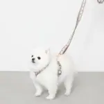 フラワーテープハーネス - Image 8