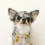 なみなみフラワーチャームレザーカラー【名入れ彫刻対応】 - Image 6