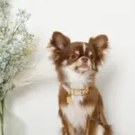 なみなみフラワーチャームレザーカラー【名入れ彫刻対応】 - Image 8