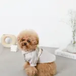 PUレザーテープハーネス+リードSET - Image 5