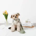 チューリップ柄ハーネス+リードSET【名入れ刺繍対応】 - Image 2