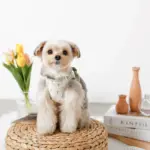 チューリップ柄ハーネス+リードSET【名入れ刺繍対応】 - Image 3