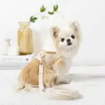 フード付きボーダーハーネス+リードSET【名入れ刺繍対応】 - Image 3